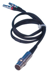 �����y��x̽�^